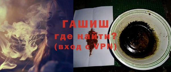 гидра Богородск