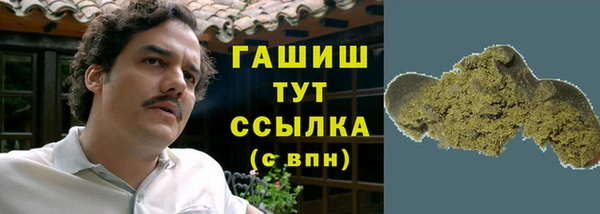 гидра Богородск