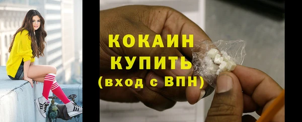 гидра Богородск