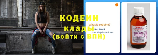 гидра Богородск