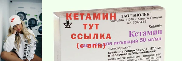 гидра Богородск