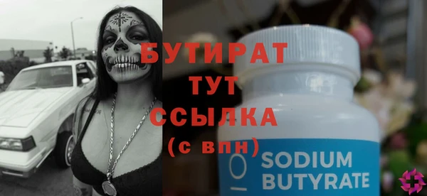 гидра Богородск