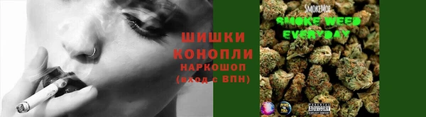 гидра Богородск