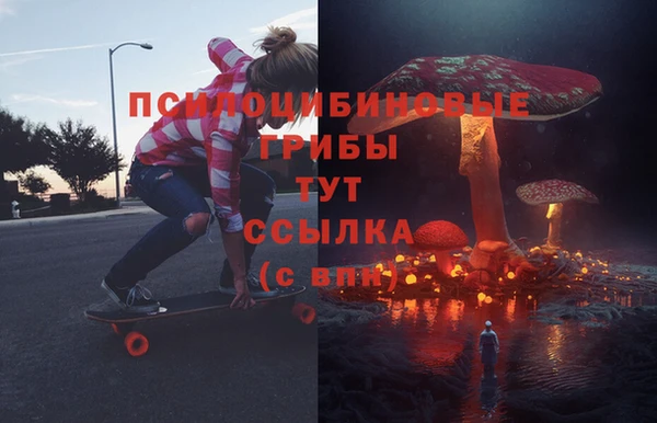 гидра Богородск