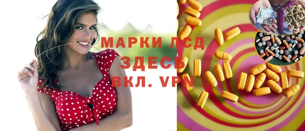гидра Богородск