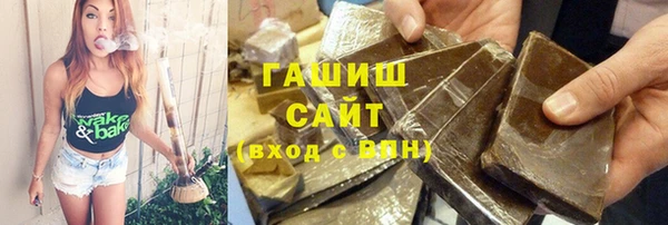 гидра Богородск