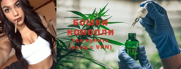 каннабис Богданович